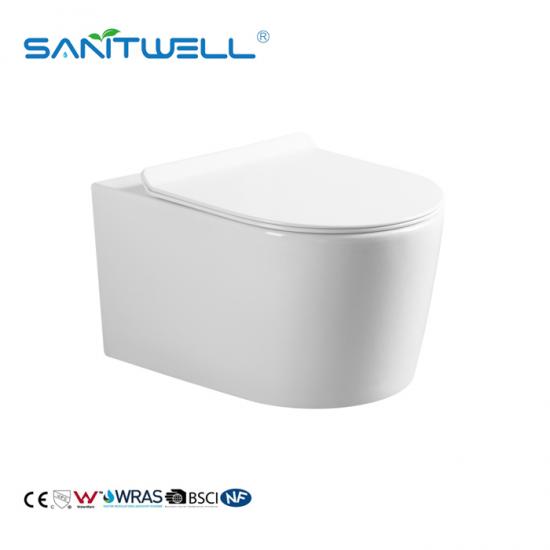 wall mounted toilet