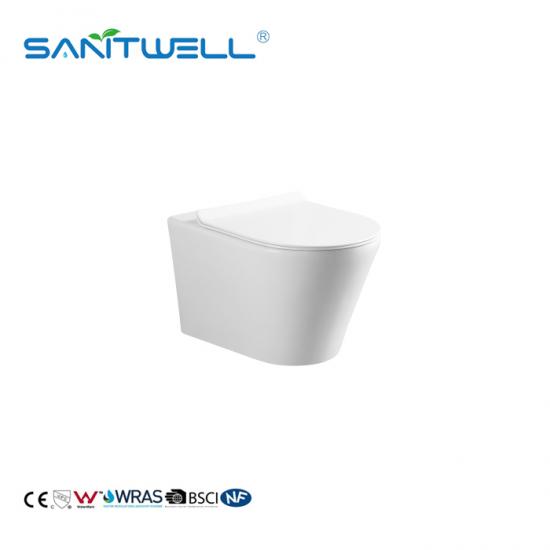 wall mounted toilet