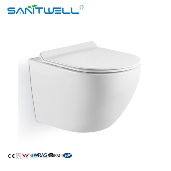 wall mounted toilet