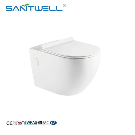 wall mounted toilet