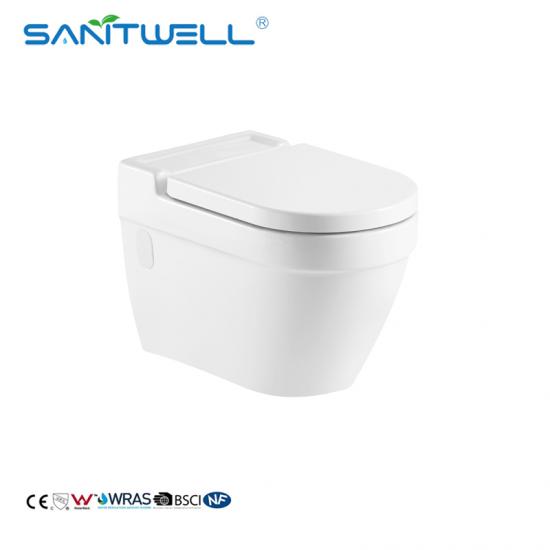 wall mounted toilet