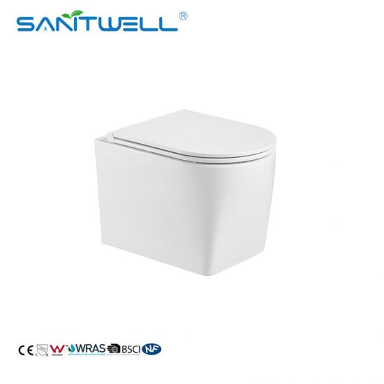 wall mounted toilet