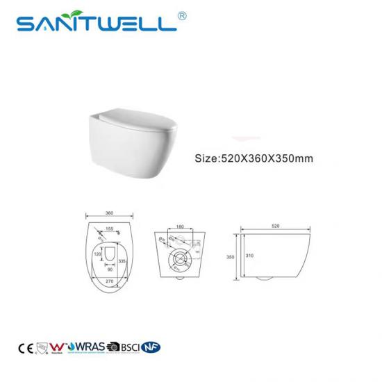 wall mounted toilet