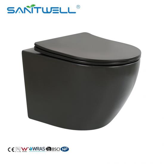 wall hung toilet