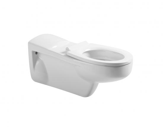 Wall hung toilet